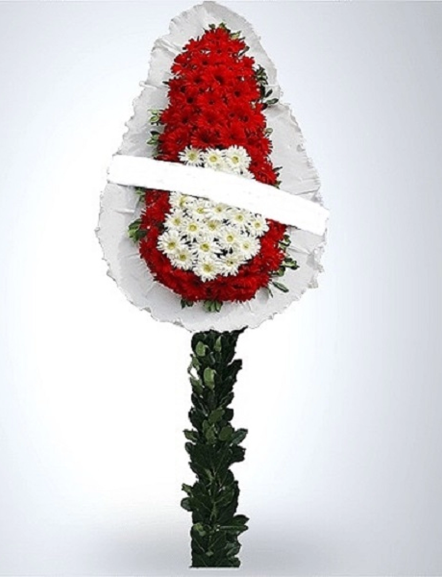 Text