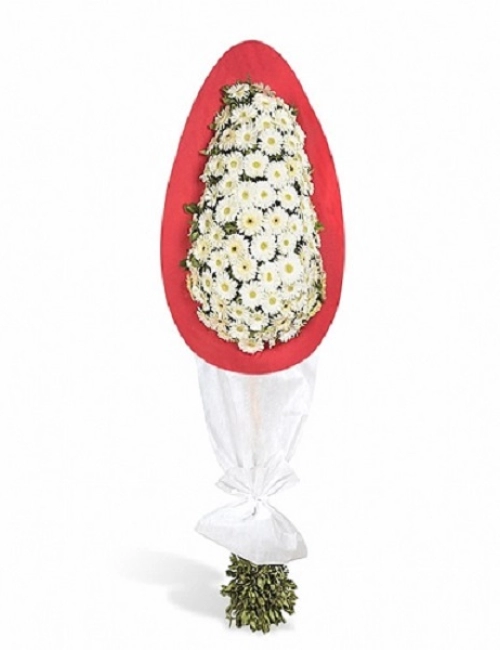 Düğün/Nikah/Açılış