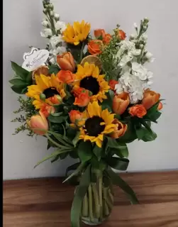 Saksı Çiçekleri